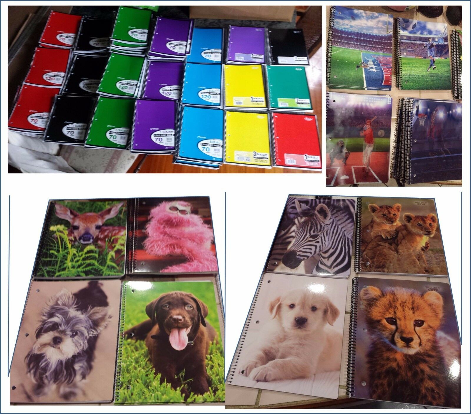 Spiral Notebooks 70/120 Pages; College/wide Ruled; 1/3 Subject; Sports, Animals