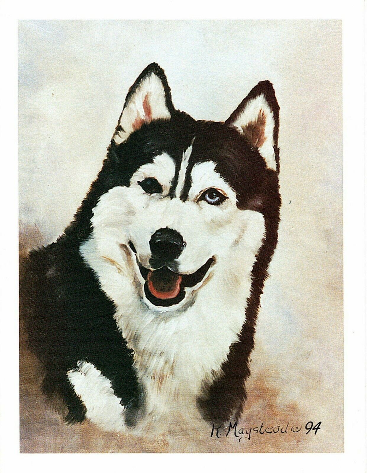 Black Siberian Husky Head Study Notecard Set - 12 Note Cards By Ruth Maystead